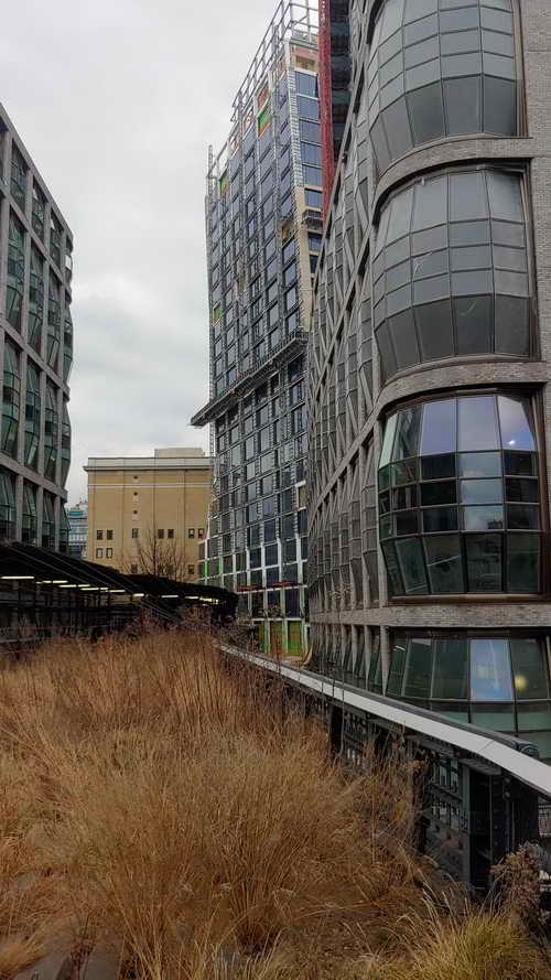 NYC_2020-01-26 15-29-53_CELL_20200126_152953_HDR